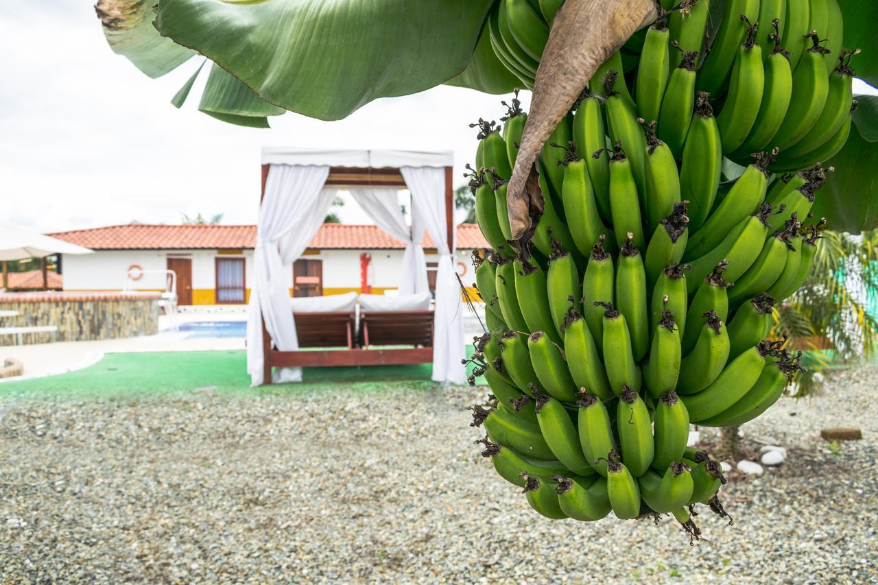 Finca Hotel La Quinta De Torrione Quimbaya Eksteriør bilde